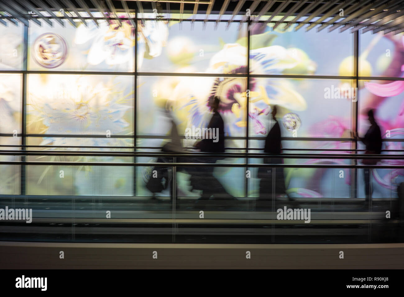 L'escale à Schiphol sur ma façon d'Athènes a été courte. Heureusement, il m'a donné suffisamment de temps pour revivre la culture néerlandaise que j'aime & Mlle. Banque D'Images