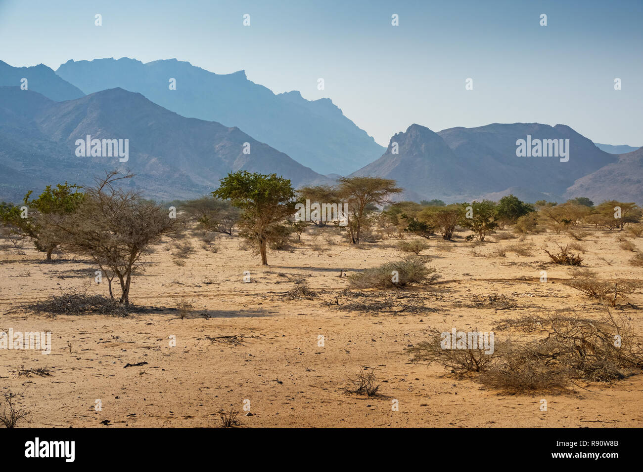 Somaliland landscape Banque de photographies et d’images à haute ...