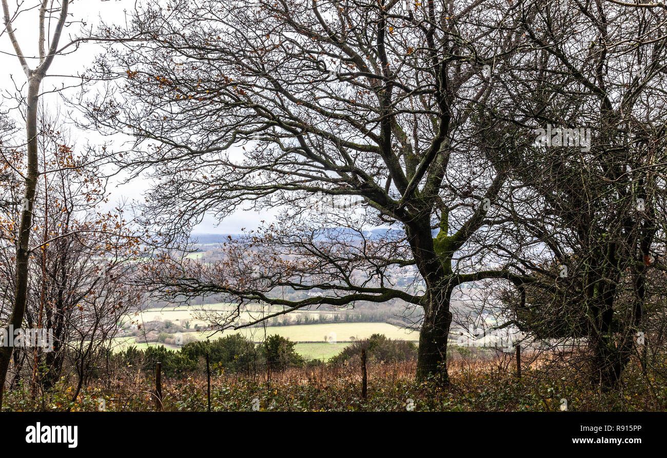 Vue depuis les collines de Surrey, Surrey, Angleterre, Royaume-Uni. Banque D'Images