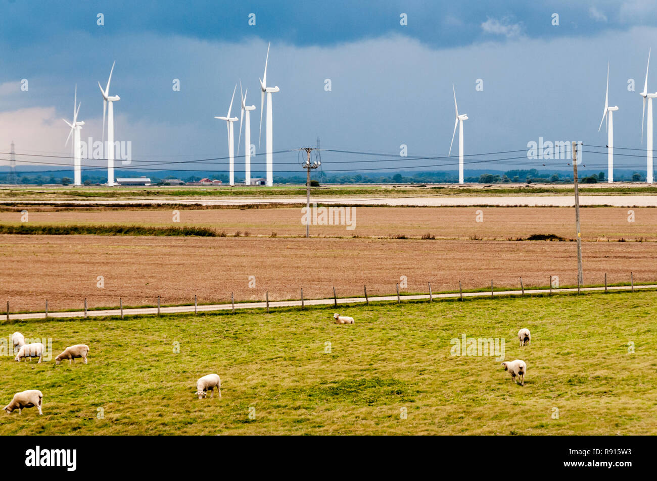 Les moutons et les éoliennes de la petite cour Cheyne Wind Farm sur Romney Marsh avec un ciel noir avant une tempête. Banque D'Images