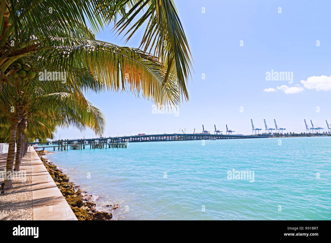 Palmiers dans une rangée avec ombres symétrique le long de cours d'eau à Miami Beach, Floride, USA. Jour de l'ombre des cocotiers au bord de la voie. Banque D'Images