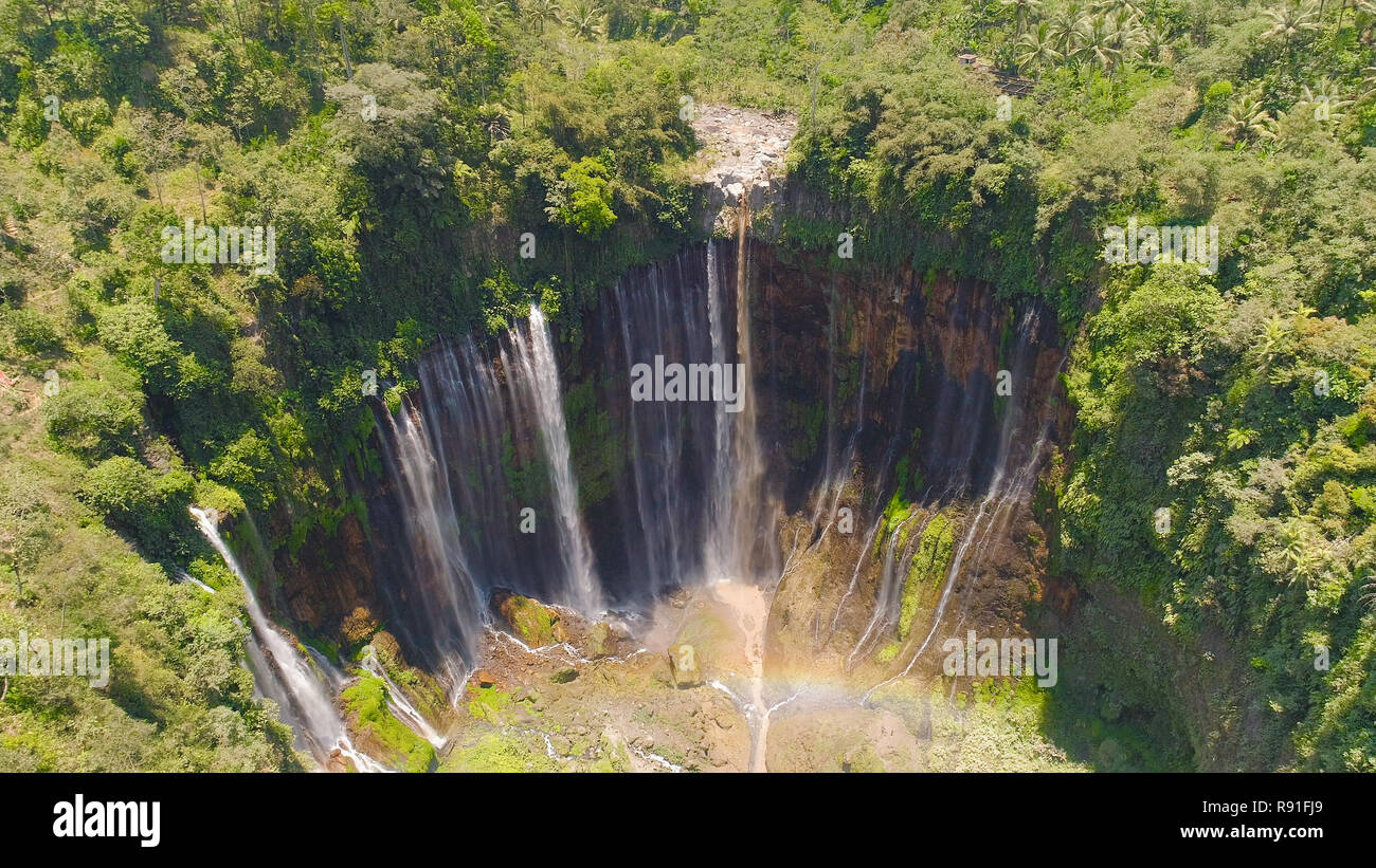 Vue aérienne, la SEWU coban cascade à Java, en Indonésie. cascade dans la forêt tropicale par drone Tumpak Sewu Banque D'Images