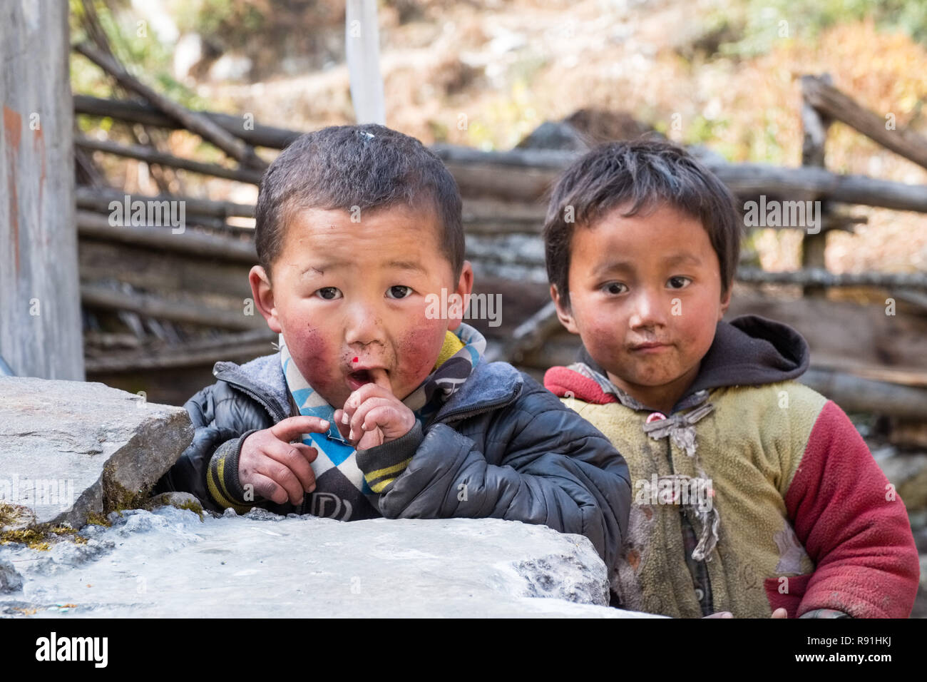 Dans les enfants tibétains au Népal Himalaya Banque D'Images