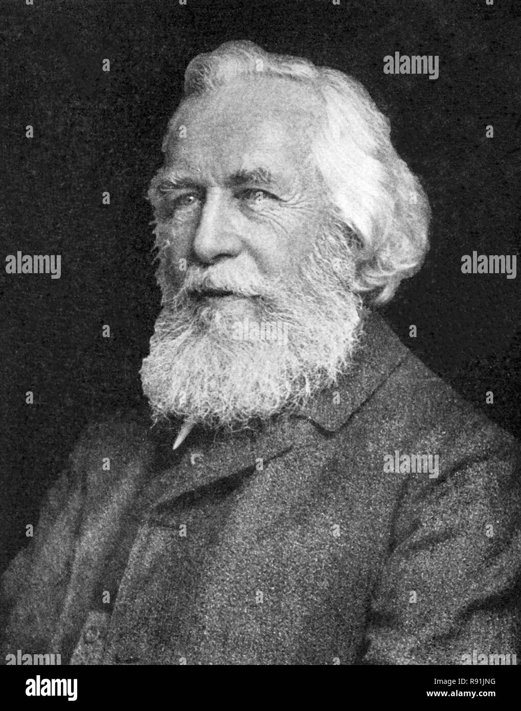 Ernst Heinrich Philipp August Haeckel (1834 - 1919) biologiste allemand, naturaliste, professeur et spécialiste de la biologie marine Banque D'Images