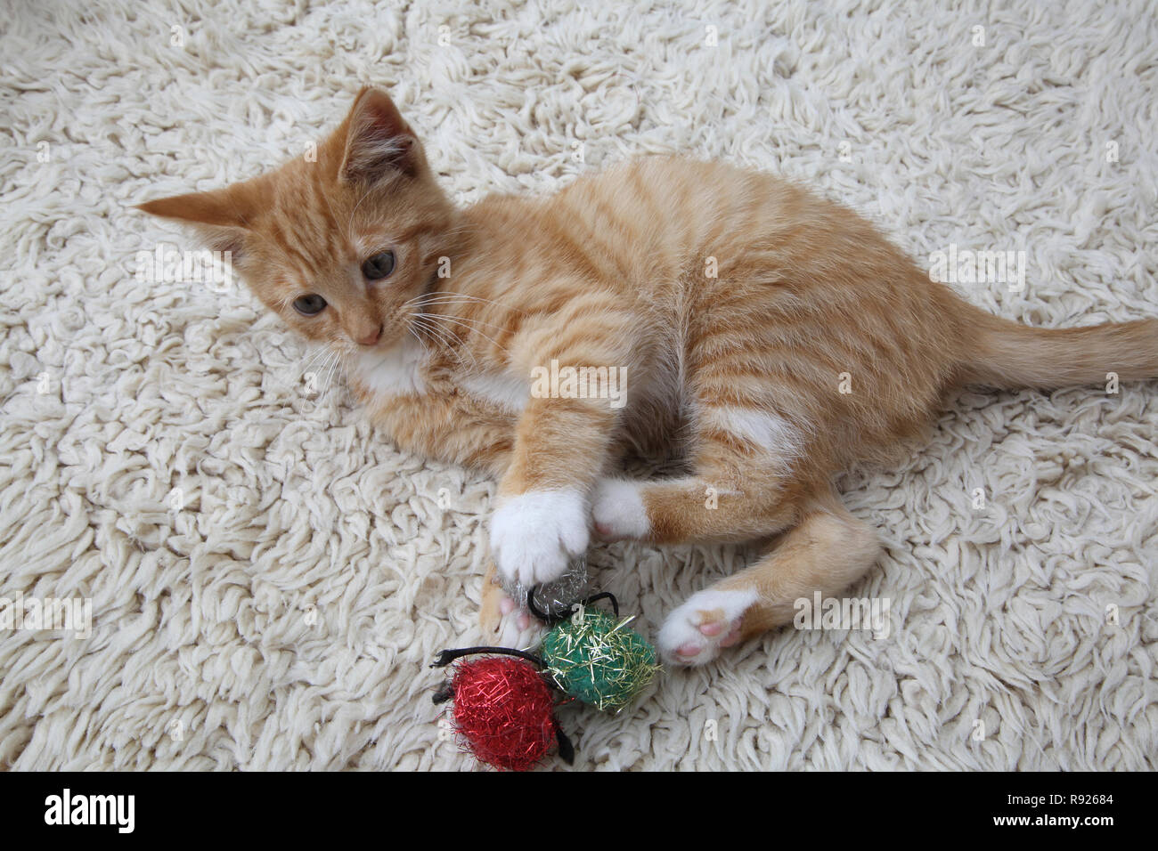 Le gingembre et le chaton blanc jouant avec des jouets de Noël Banque D'Images