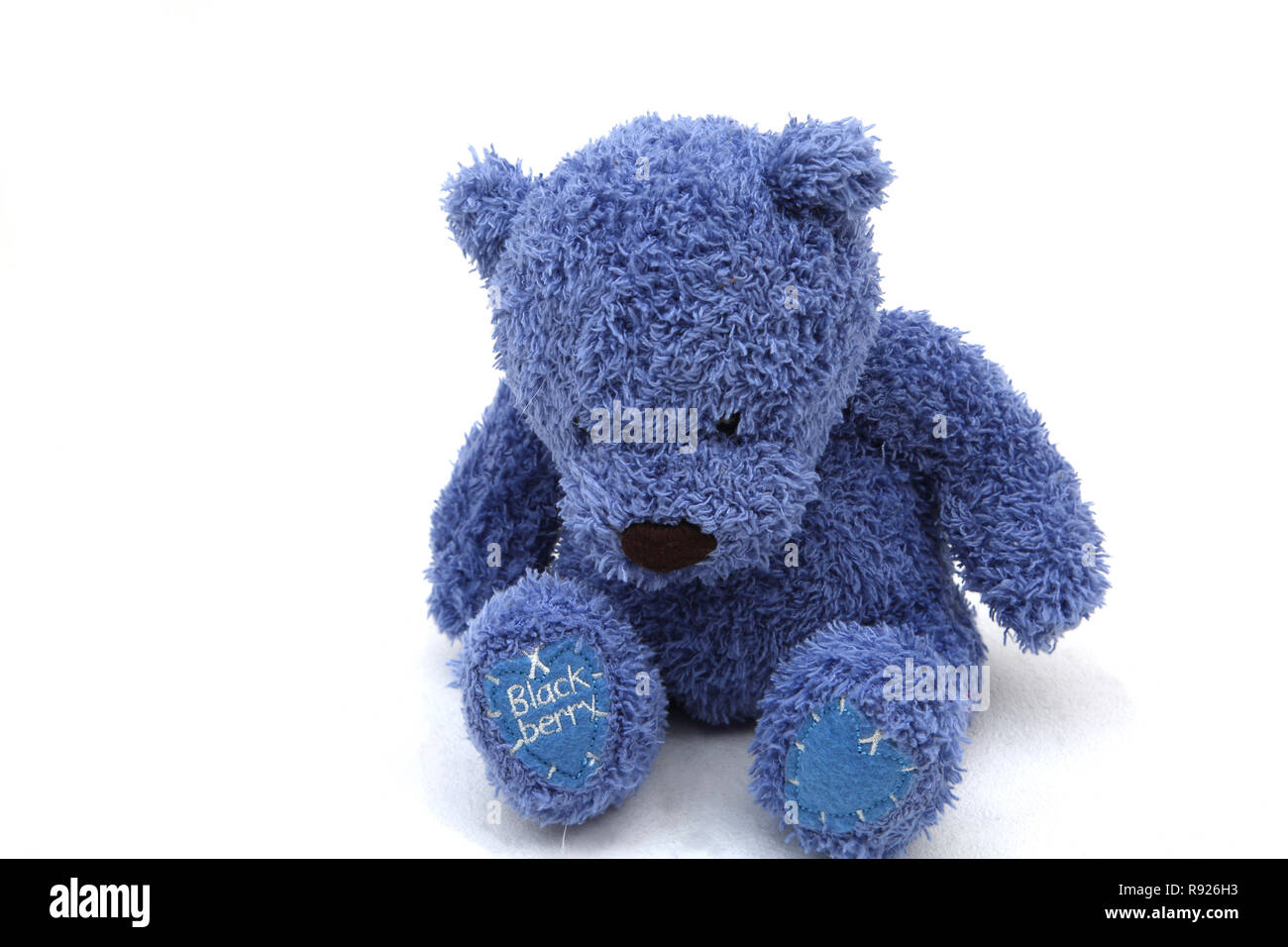 Bleu peluche Ours Black Berry Banque D'Images