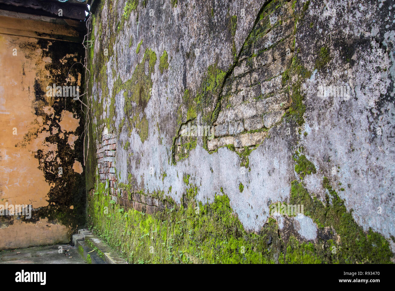 La mousse sur les murs anciens Banque D'Images