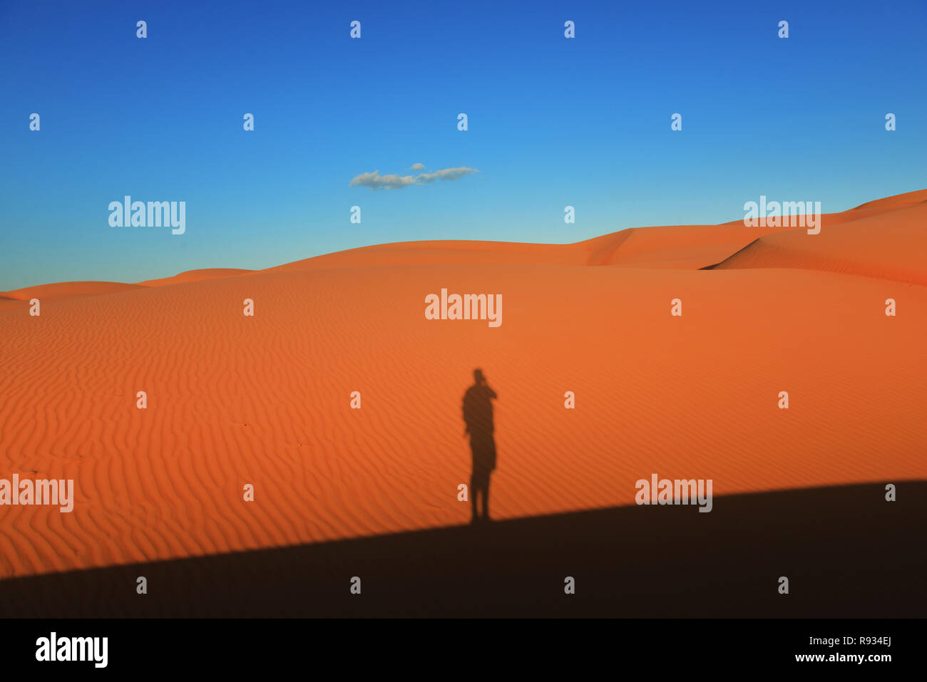 Les sables bitumineux Sharqiya ( Wahiba Sands ) en Oman. Banque D'Images