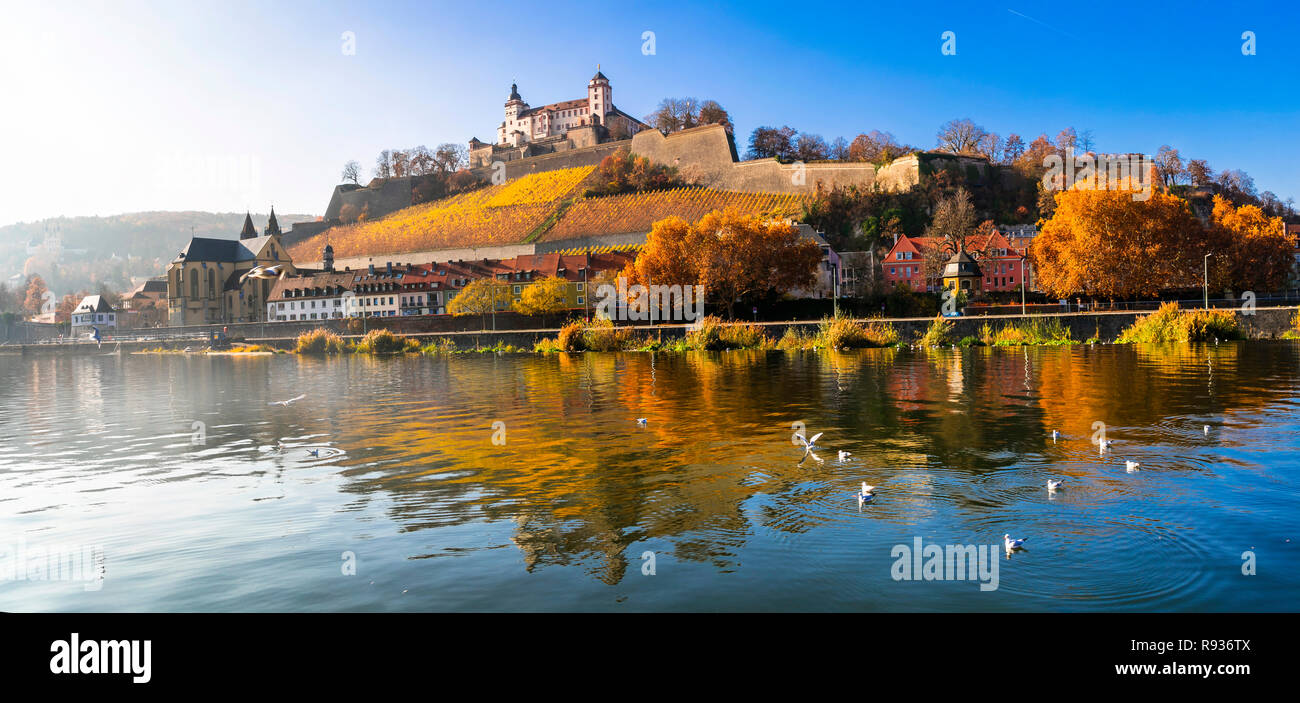 Belle vue,ville Würzburg avec vignes et vieux château, Bavière, en Allemagne. Banque D'Images