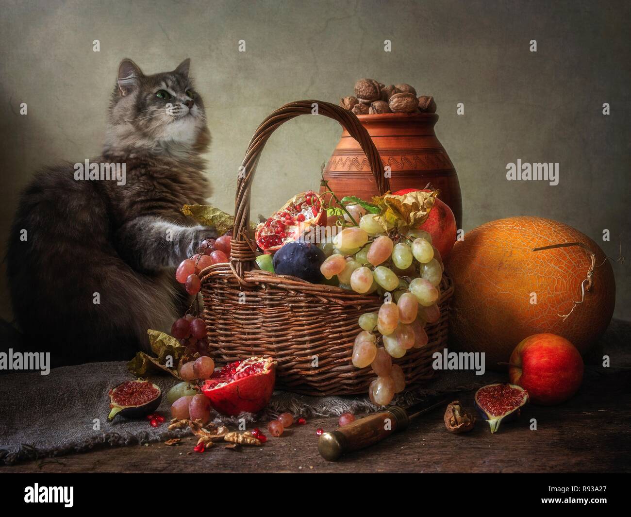 Kitty jolie gris avec des fruits et des légumes Banque D'Images