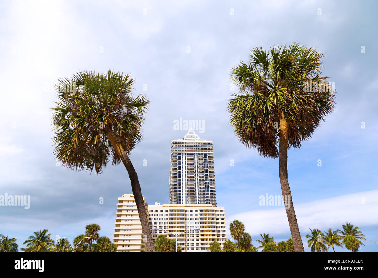 Ciel bleu et nuages gris sur Miami Beach Palms et bâtiments. De grands palmiers en face de Miami Beach waterfront resort. Banque D'Images