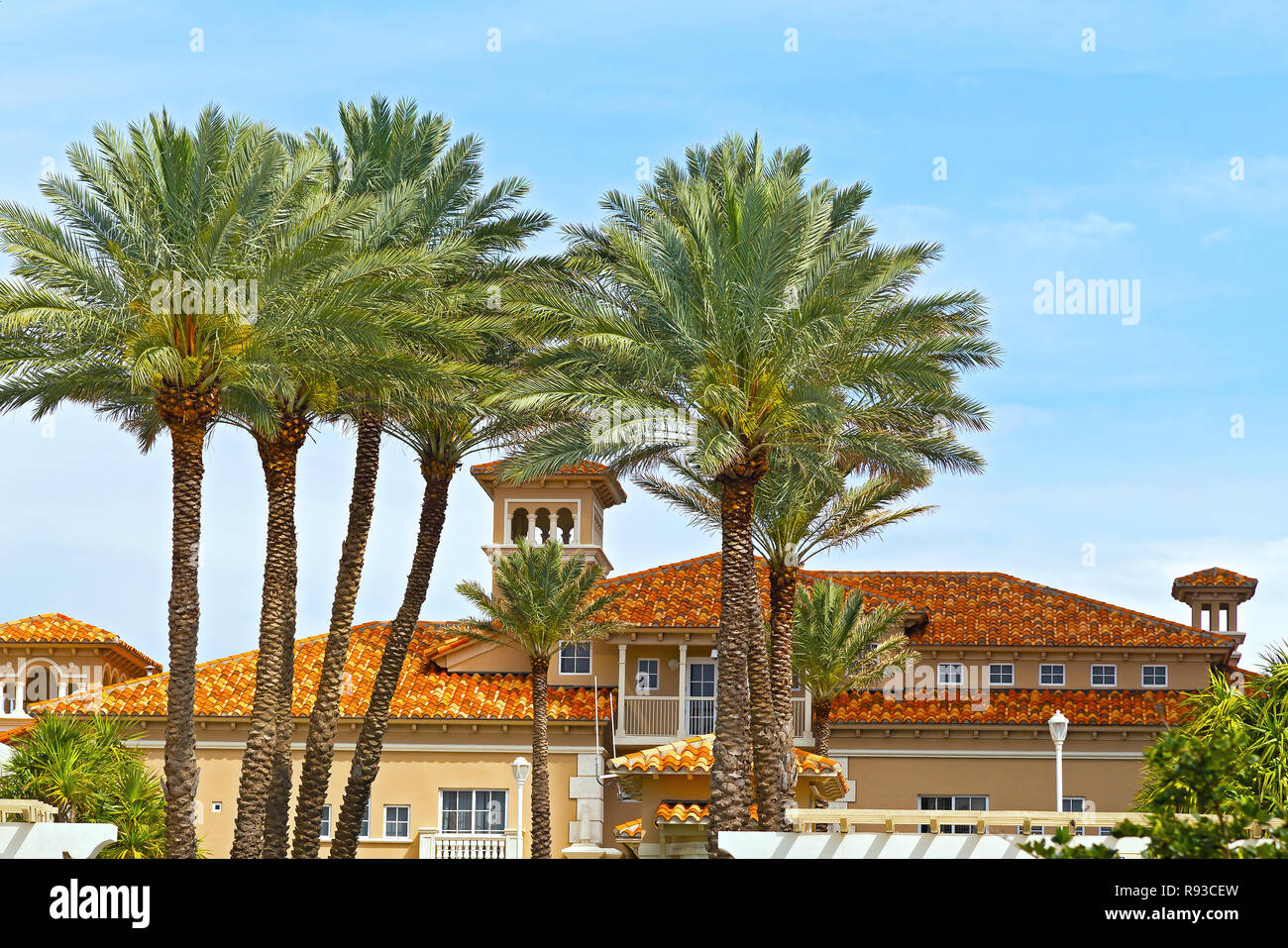 Bâtiment et paumes de Miami Beach, en Floride. De grands palmiers près de beau bâtiment sud. Banque D'Images