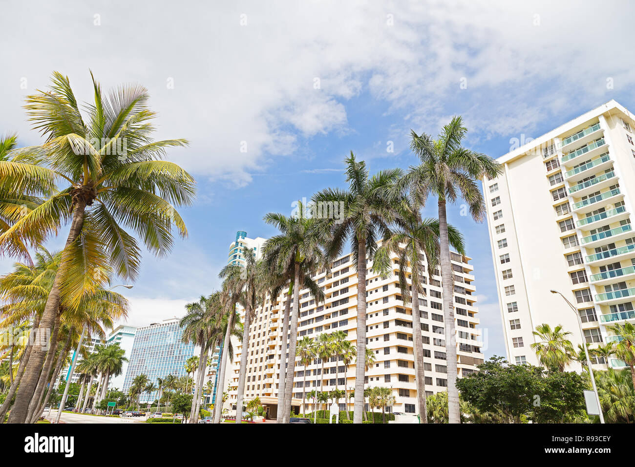 Boulevard avec de grands palmiers et de bâtiments modernes à Miami Beach, Floride. Des bâtiments et des arbres sur un après-midi ensoleillé à destination populaire. Banque D'Images