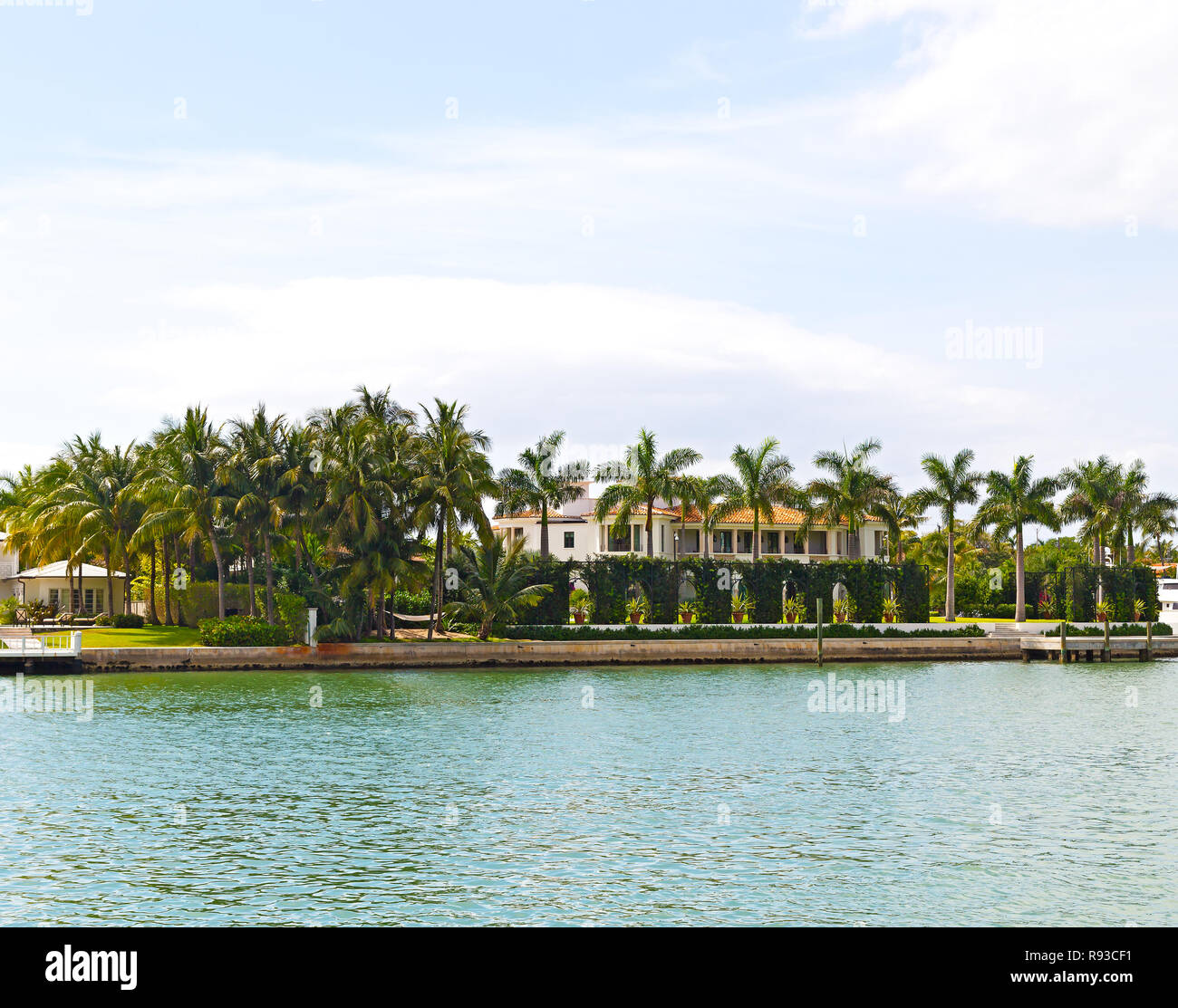 Palmiers décorent le comment de pelouse. Waterfront suburb de palmiers de Miami, Floride Banque D'Images