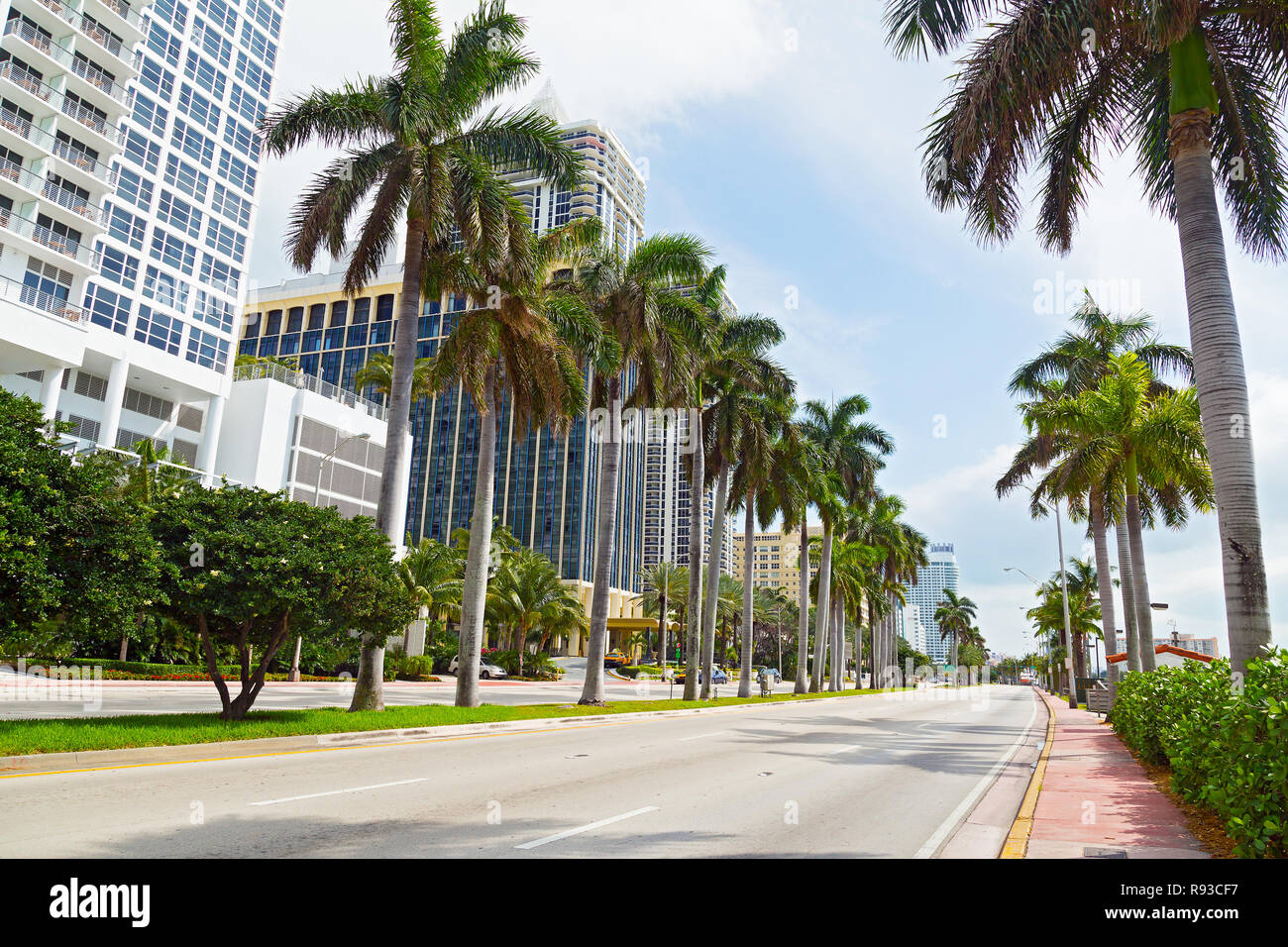 Grande route avec de grands palmiers et de bâtiments modernes à Miami Beach, Floride. Des bâtiments et des arbres sur une journée de printemps ensoleillée. Banque D'Images