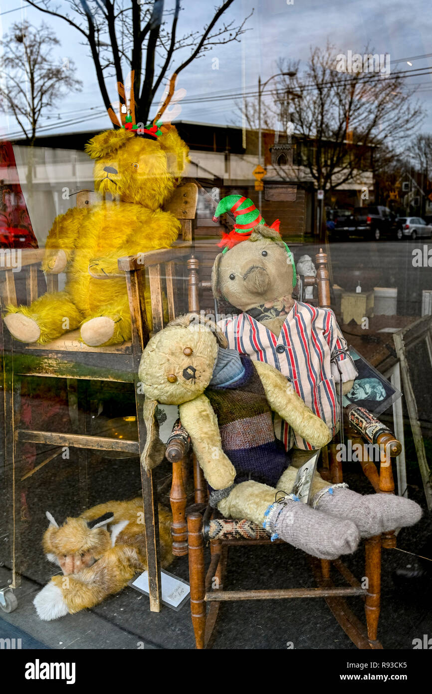 Ours en peluche, magasin d'Antiquités Bakers Dozen, Main Street, Vancouver, British Columbia, Canada. Banque D'Images