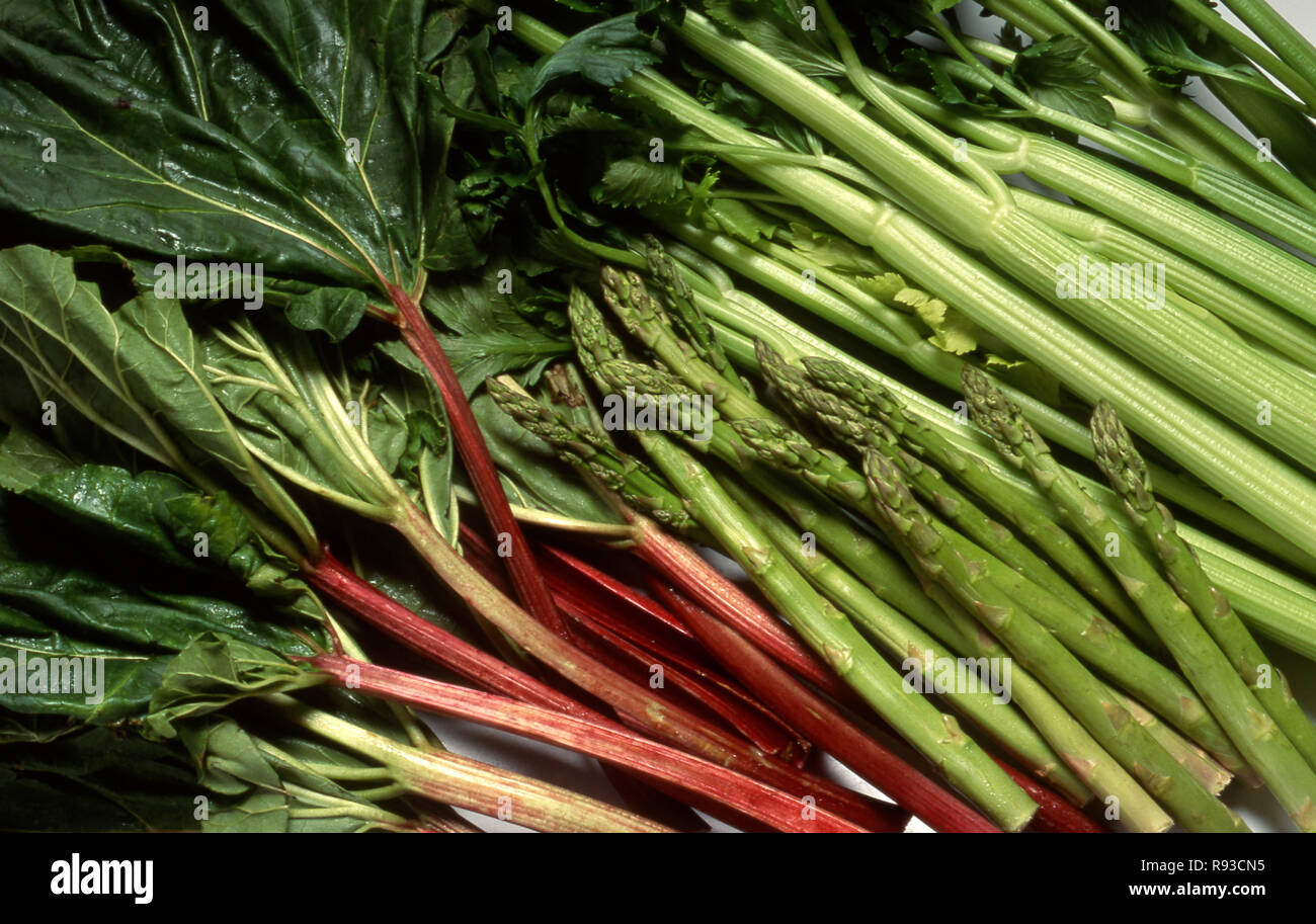 IMAGE STUDIO DE RHUBARBE FRAÎCHEMENT RÉCOLTÉE, D'ASPERGES ET DE CÉLERI Banque D'Images
