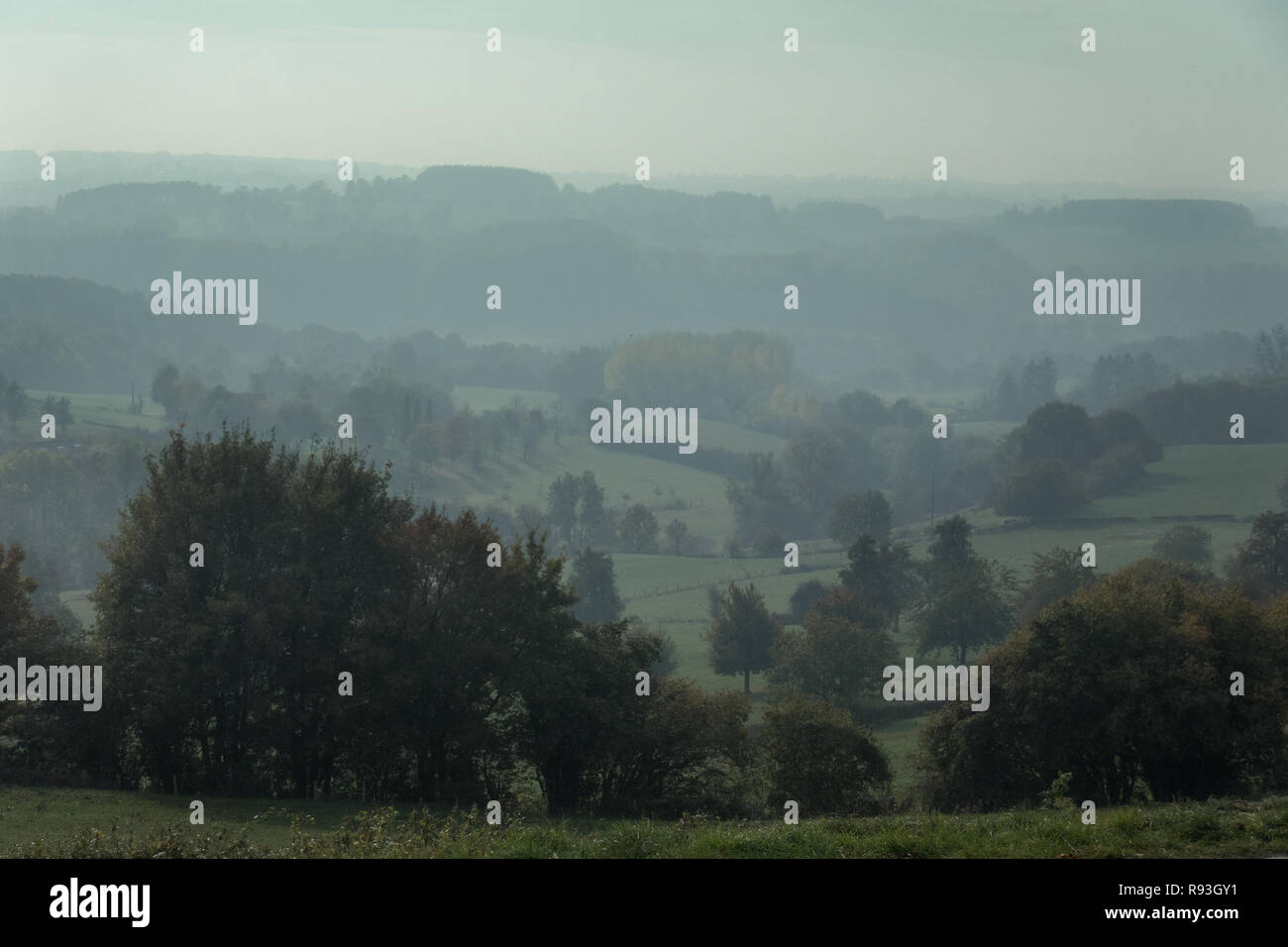 Dans la vallée de Voerstreek dans les Ardennes belges. Fourons est une municipalité flamande de Belgique située dans la province de Limbourg Banque D'Images