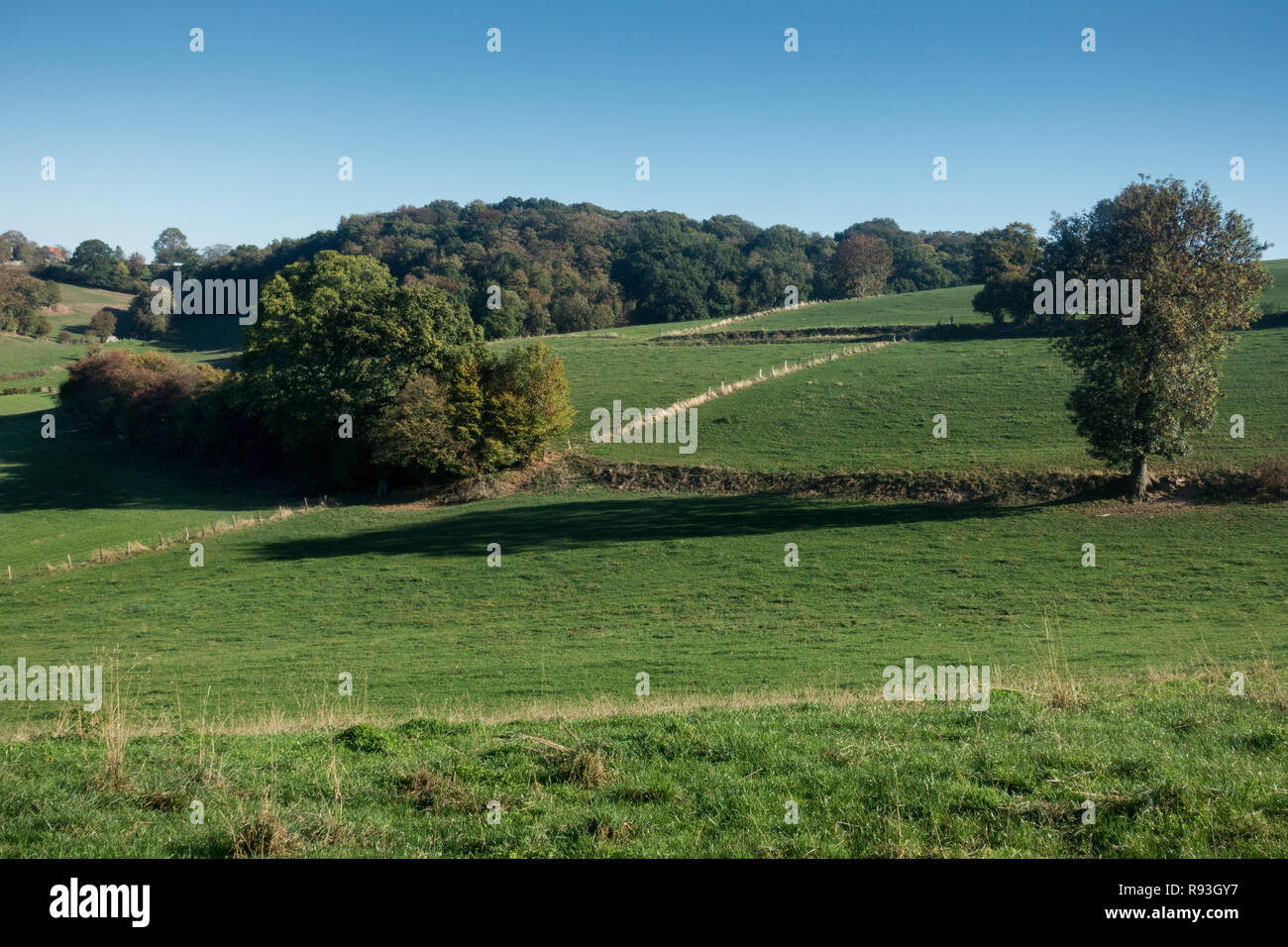 Dans la vallée de Voerstreek dans les Ardennes belges. Fourons est une municipalité flamande de Belgique située dans la province de Limbourg. Banque D'Images