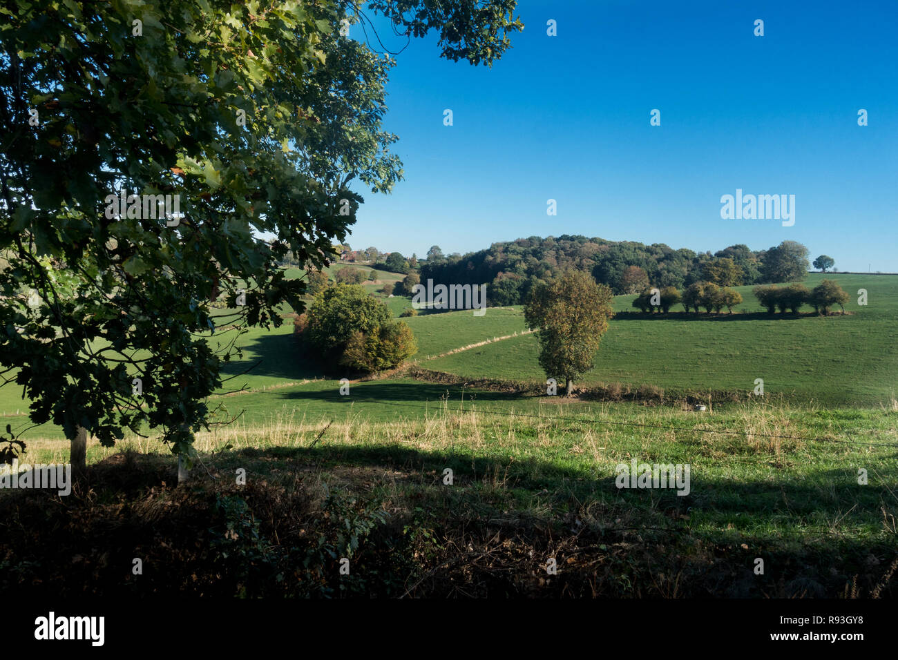 Dans la vallée de Voerstreek dans les Ardennes belges. Fourons est une municipalité flamande de Belgique située dans la province de Limbourg. Banque D'Images