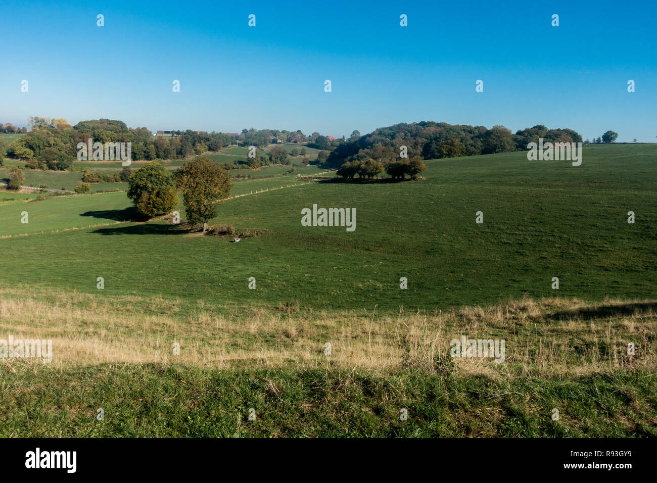 Dans la vallée de Voerstreek dans les Ardennes belges. Fourons est une municipalité flamande de Belgique située dans la province de Limbourg. Banque D'Images