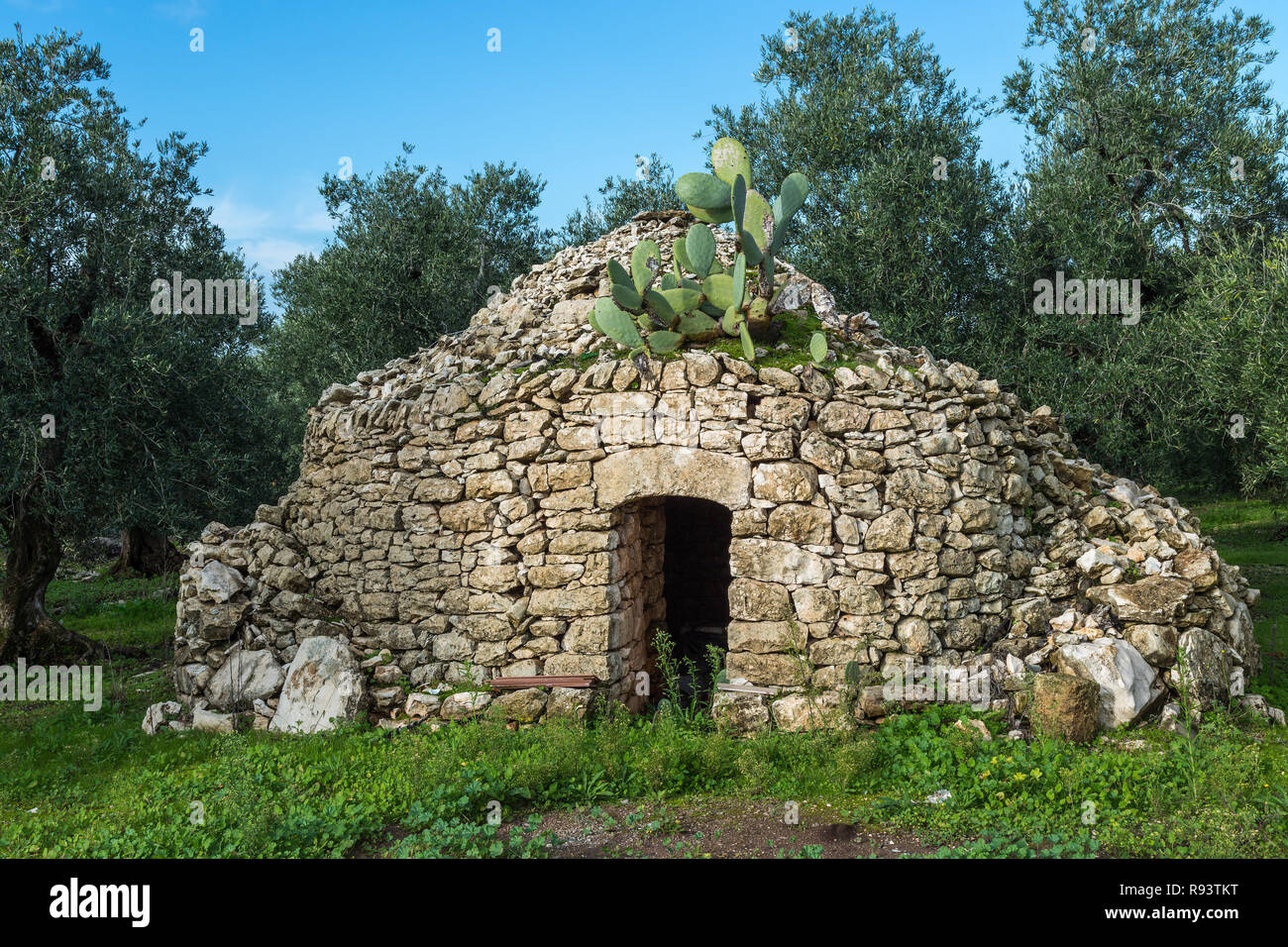 Cabane en pierre dans une oliveraie Banque D'Images