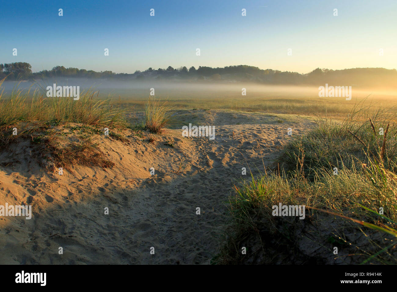 Morning Mist sur les dunes de la Baie d'Authie (nord de la France) Banque D'Images