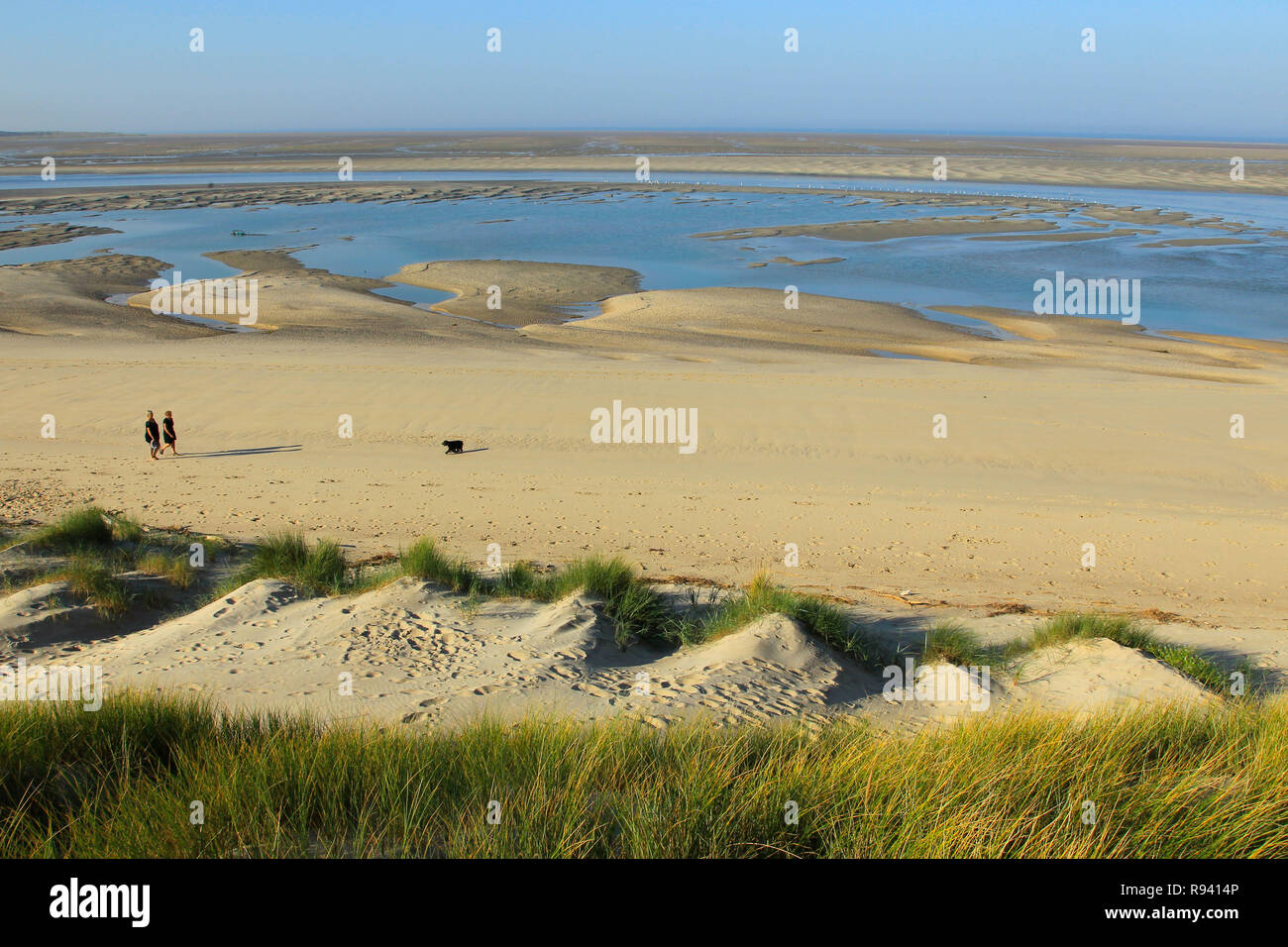 Promenade sur la plage de Waden, dans la baie d'Authie, le long de la zone côtière, "côte d'Opale". Plage et dune Banque D'Images