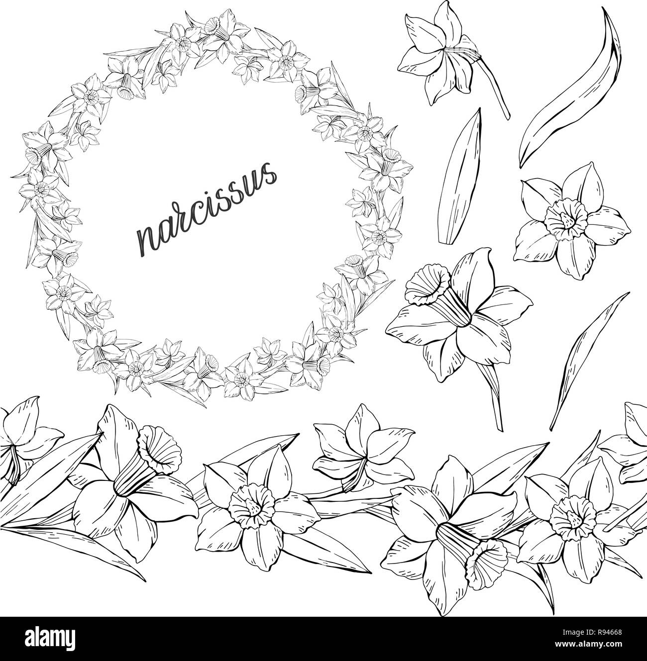 Ensemble d'éléments de narcisse monochrome floral, fleurs et feuilles, et une brosse horizontale avec eux, isolé sur fond blanc, vector hand Illustration de Vecteur