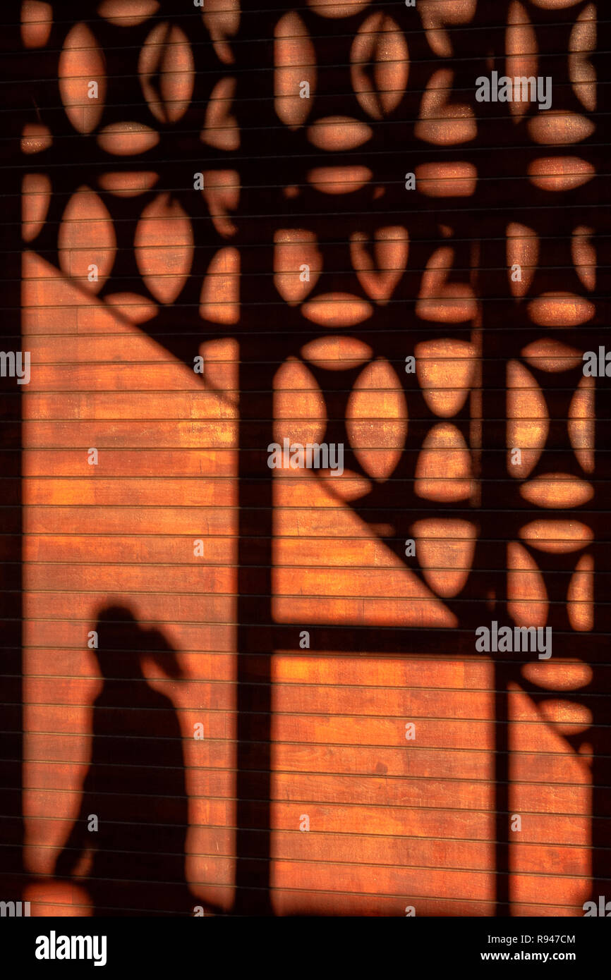 Silhouette d'une femme marchant devant un mur de briques Banque D'Images