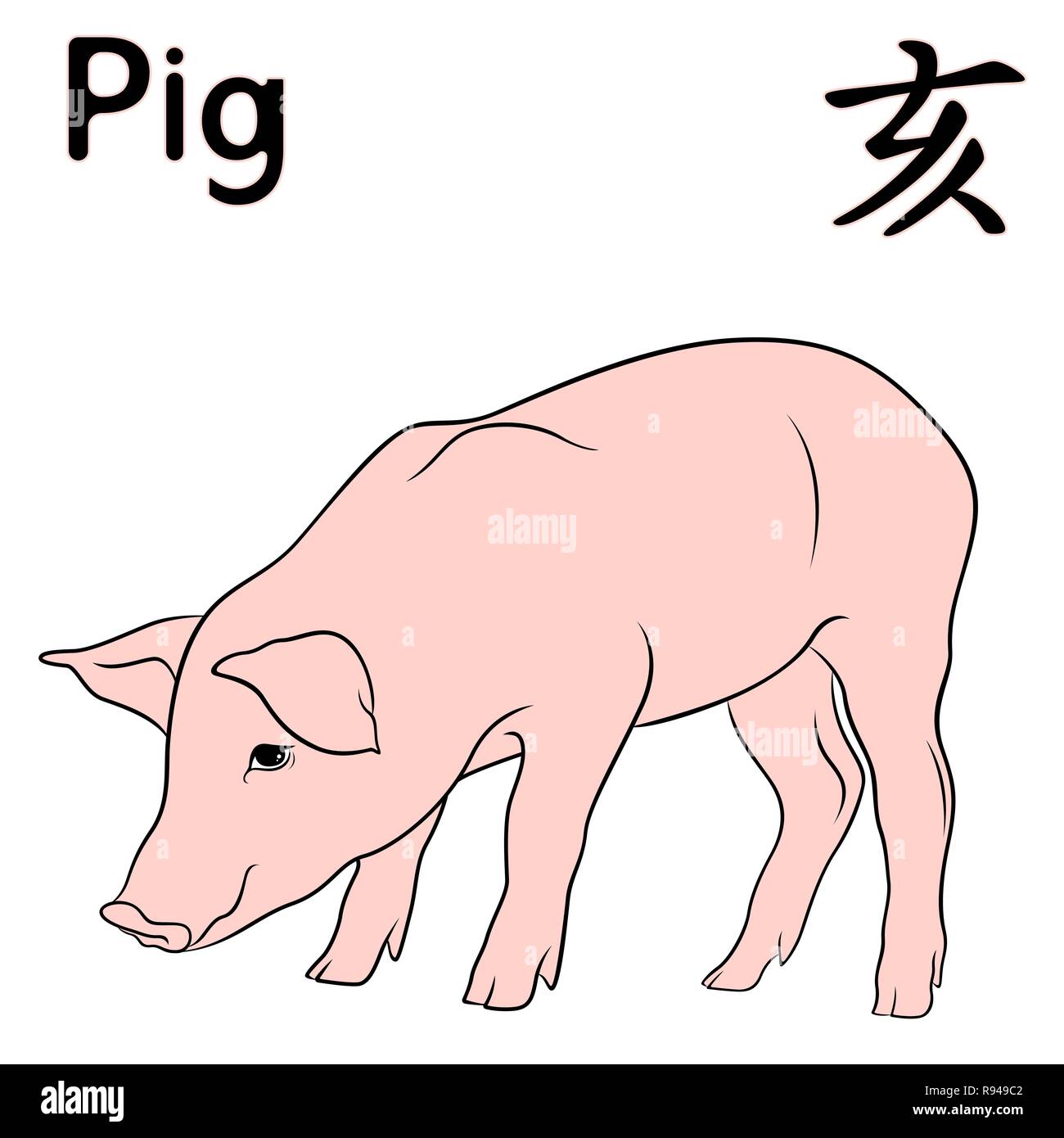 Signe zodiacal chinois Cochon, élément fixe l'eau, symbole de la nouvelle année sur le calendrier oriental, hand drawn vector isolé sur fond blanc Illustration de Vecteur