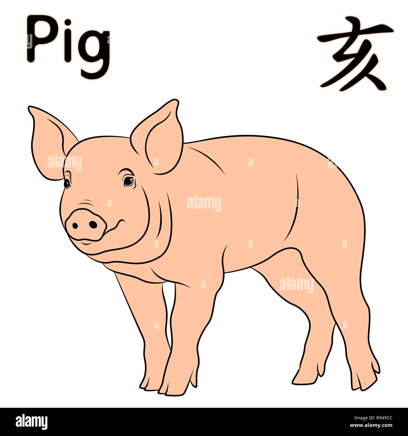 Signe zodiacal chinois cochon, symbole de la nouvelle année sur le calendrier oriental, hand drawn vector isolé sur fond blanc Illustration de Vecteur