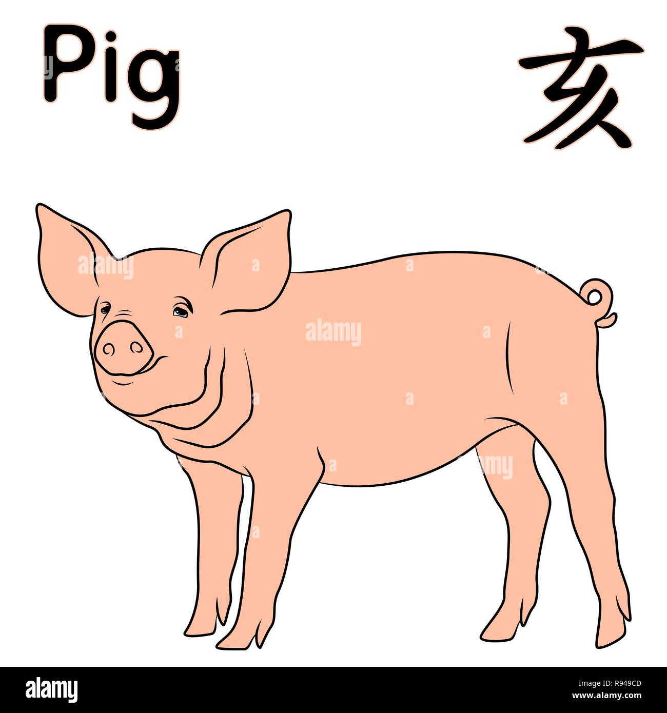 Cochon signe de zodiaque chinois, symbole de l'année prochaine sur le calendrier oriental, hand drawn vector isolé sur fond blanc Illustration de Vecteur