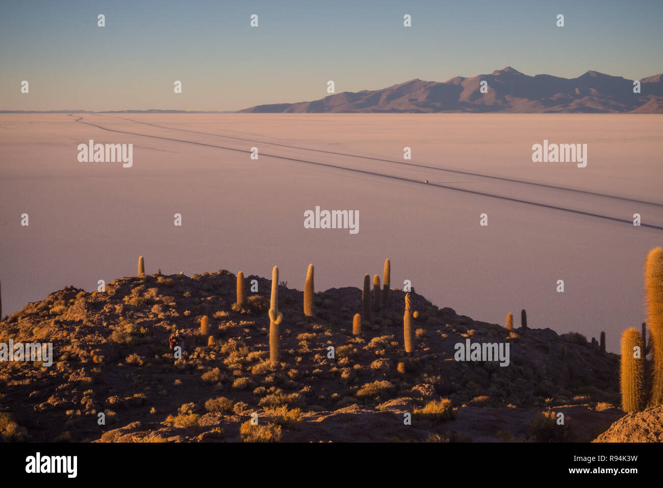 Vue sur le lever du soleil sur le lac de sel de l'île incahuasi par Uyuni en Bolivie. Vue panoramique Banque D'Images