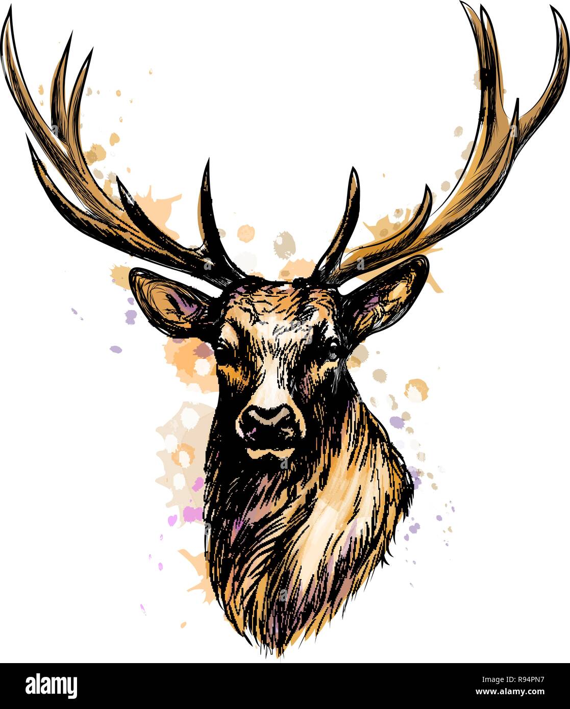 Portrait d'une tête de cerf d'une éclaboussure de l'aquarelle Illustration de Vecteur