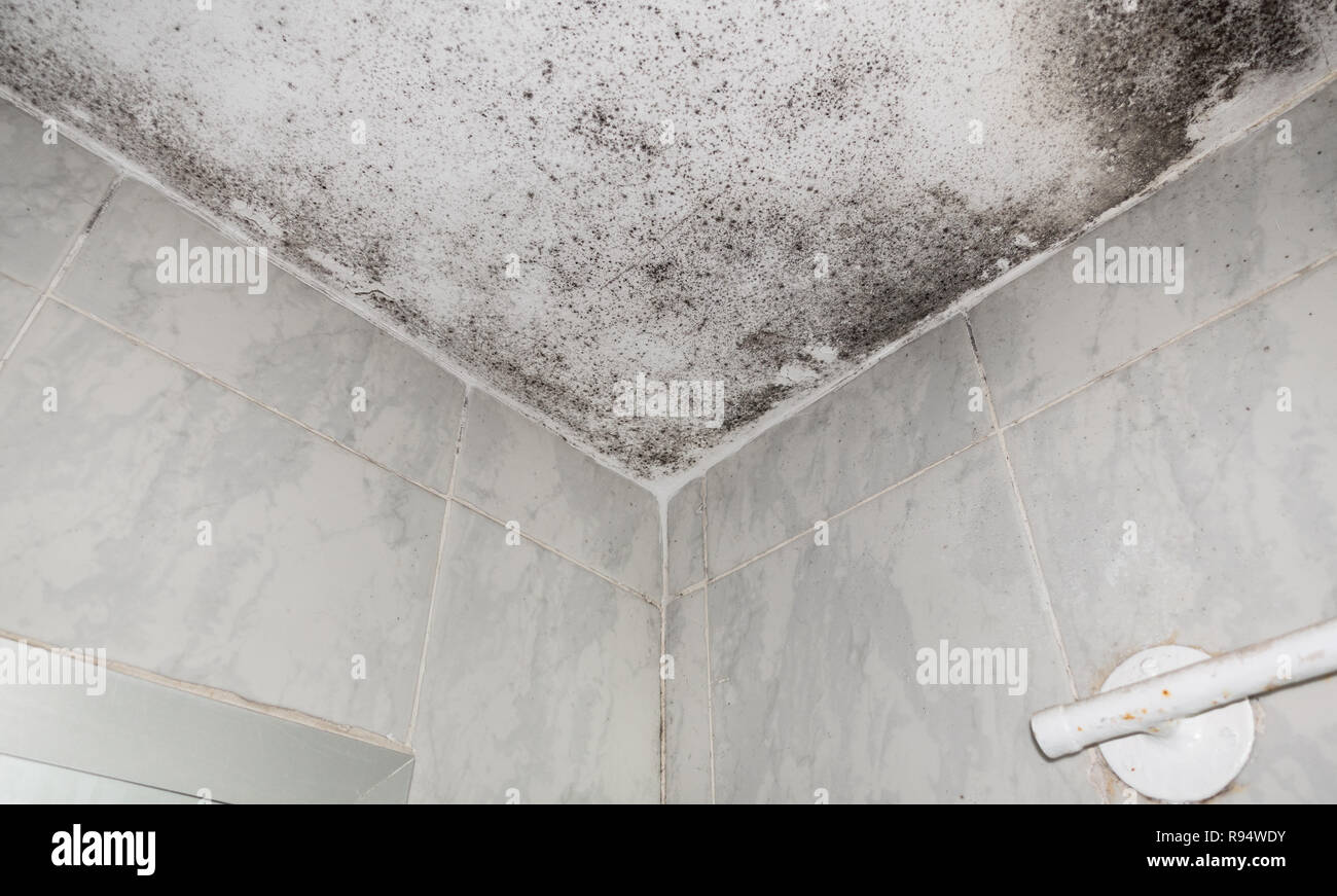 Des auréoles en baignoire, vue de dessous de toit Banque D'Images