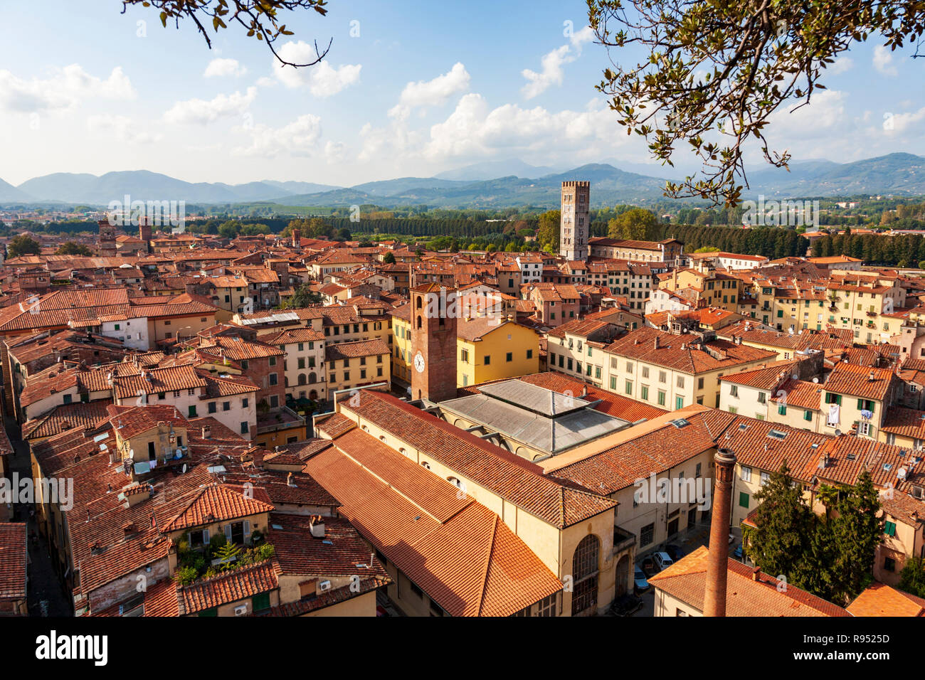 Vue de Lucques vers l'église San Frediano et l'amphithéâtre depuis le sommet de la tour Guinigi, Lucques, Italie Banque D'Images