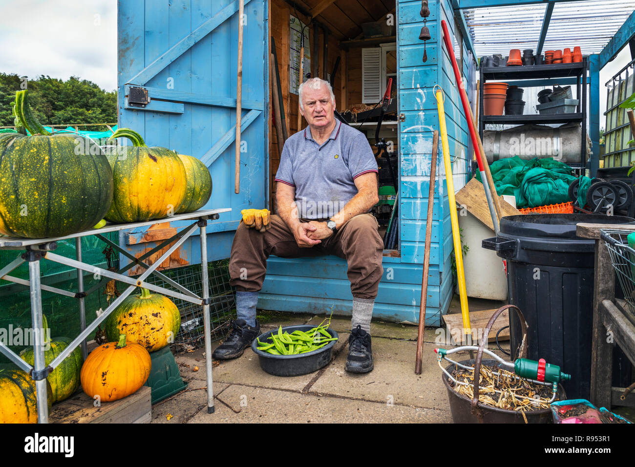 Ian David Lakey, allocations, Eglinton Kilwinning, Ayrshire assis devant son abri de jardin Banque D'Images