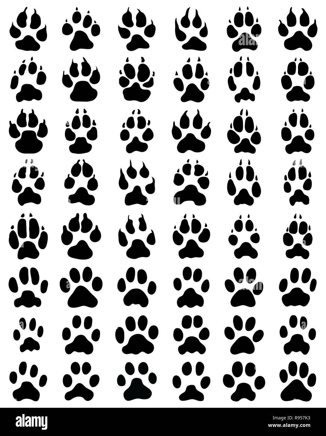 Impression noire de pattes de chiens et chats sur fond blanc Banque D'Images