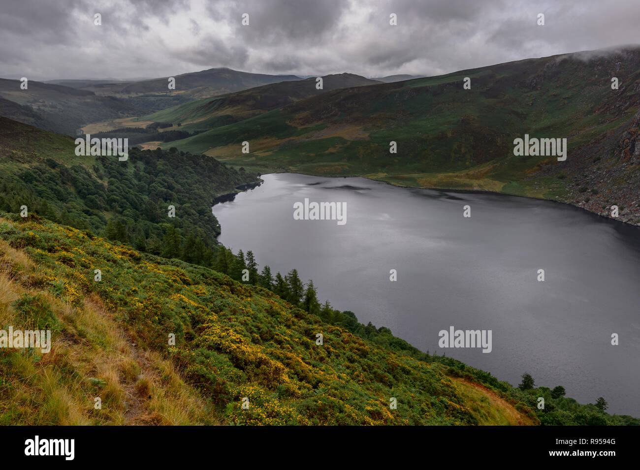 Lough Tay, dans les montagnes de Wicklow, Irlande Banque D'Images