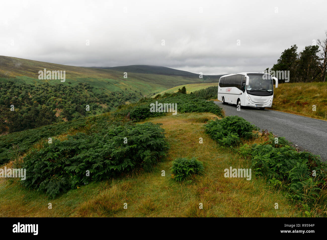 Des voitures de tourisme dans le Parc National des Montagnes de Wicklow, Irlande Banque D'Images