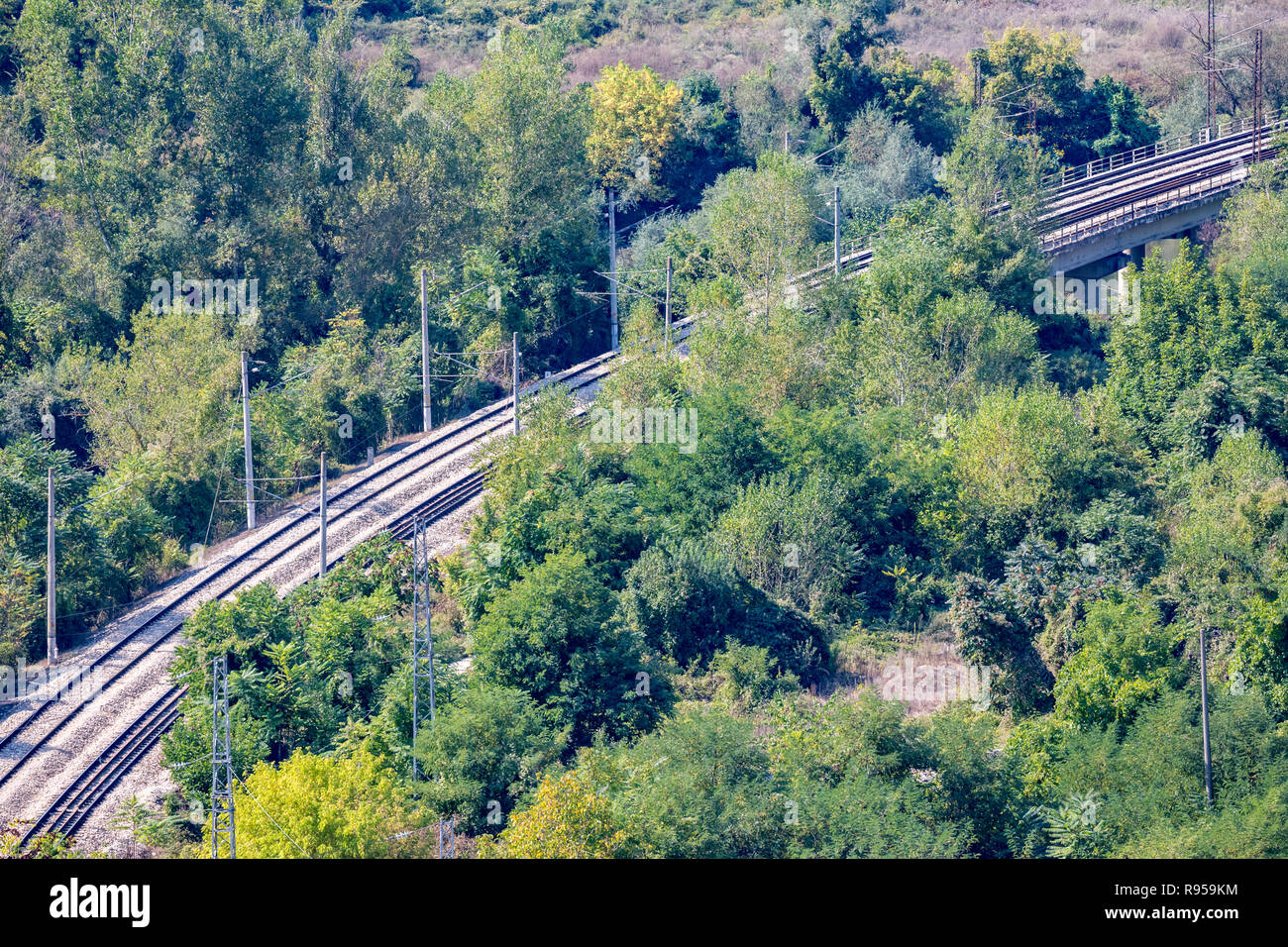 Double diagonale des rails de chemin de fer traversant une forêt, high
