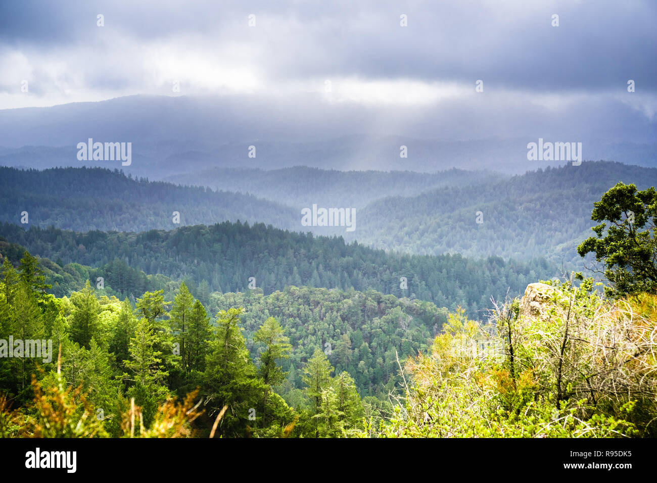 Le brouillard et les nuages de tempête couvrant les collines et les vallées de Santa Cruz Mountains vu de Castle Rock State Park, San Francisco Bay area, Califor Banque D'Images