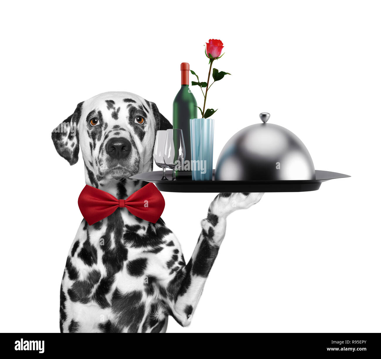 Garçon chien dalmatien avec plats, vin et rose. Isolé sur fond blanc Banque D'Images