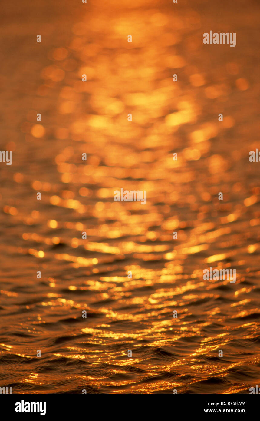 Golden sea sun shining sur l'eau Banque D'Images