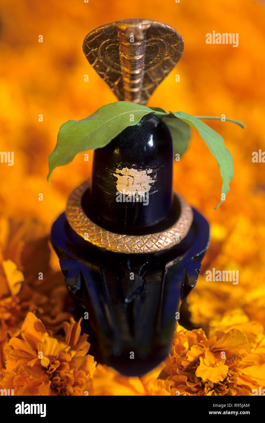 Le Seigneur Shiva, mahashivratri célébration du festival, Inde Banque D'Images