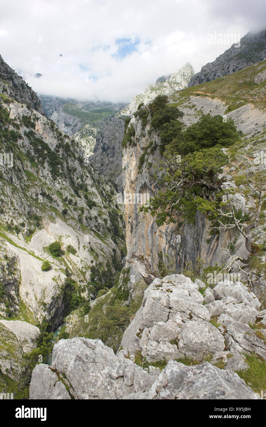 Les Gorges de Cares (Rio Cares) et se soucie Trail (Ruta del Cares), Picos de Europa, Asturias, Espagne. Banque D'Images