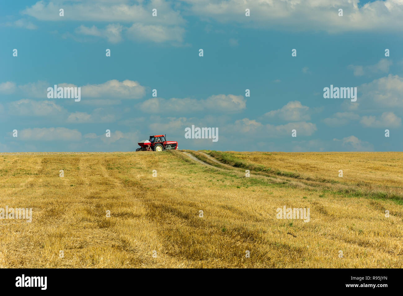 La conduite à travers les tracteurs le chaume domaine, horizon et ciel bleu Banque D'Images