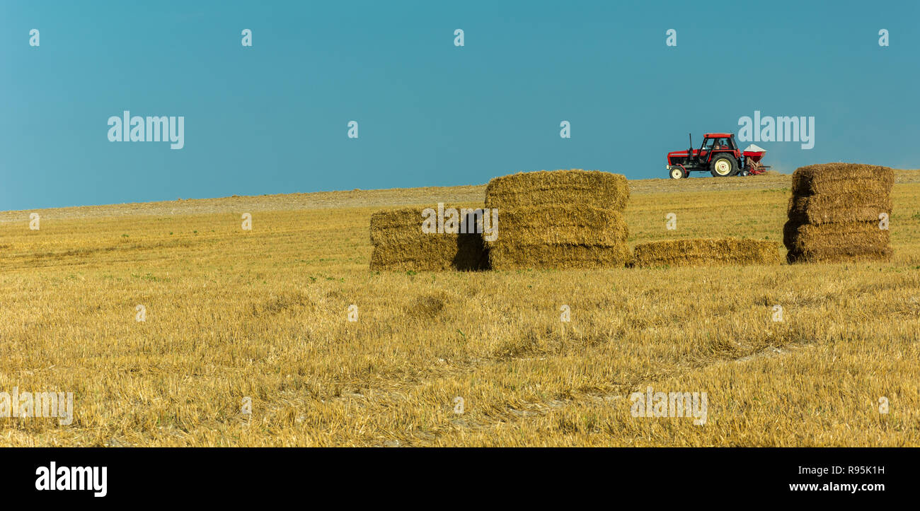 Les tracteurs équipés de la conduite dans le champ et de meules de foin, horizon et ciel bleu Banque D'Images