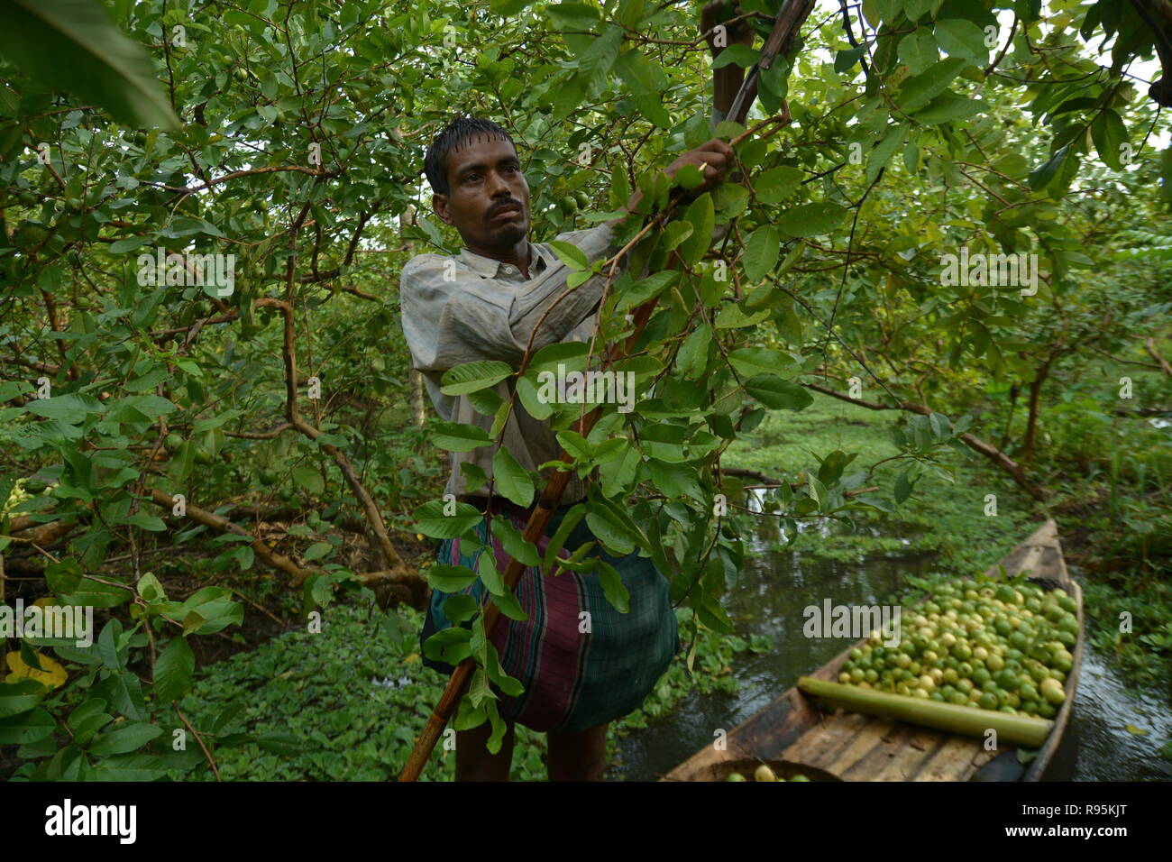 Marché Flottant , Barishal , Bangladesh Banque D'Images